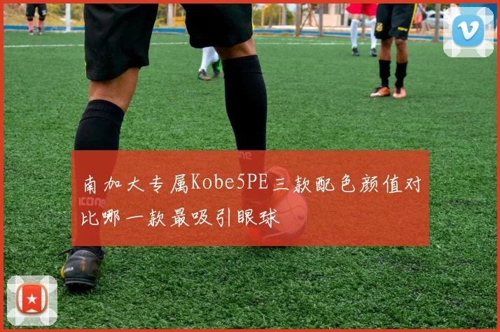 南加大专属Kobe5PE三款配色颜值对比哪一款最吸引眼球